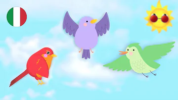 Quali e come sono i colori della ciliegia?