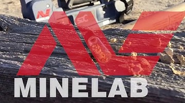 Tìm vàng cốm với máy dò Minelab SDC 2300