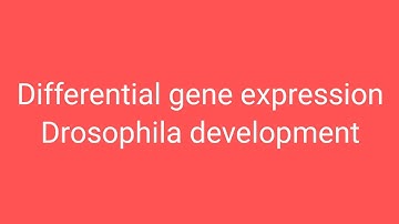Class 58: Gene expression in Drosophila development.