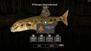 : Russian Fishing 4:     ...