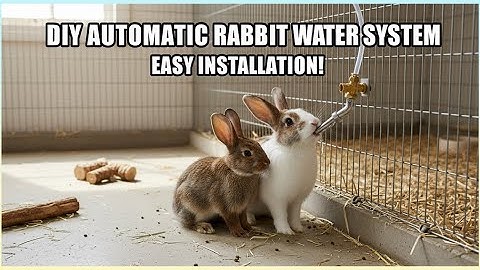 How to Install Rabbit Water Drinker