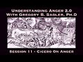 Understanding anger 20 session  ciceros examinations of the emotion of anger