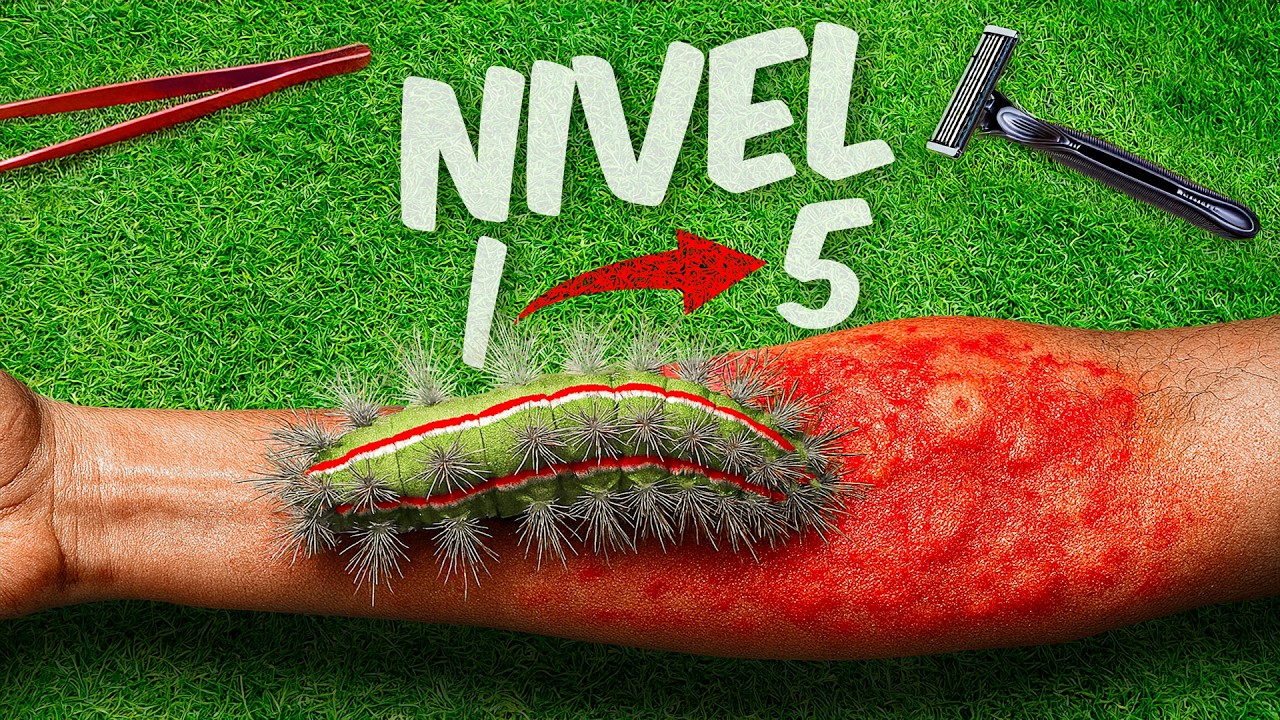 ГУСЕНИЦЫ уровень 1-5! Я проиграл вызов!