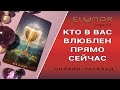 КТО В ВАС ВЛЮБЛЕН ПРЯМО СЕЙЧАС | Расклад Таро, Гадание Онлайн