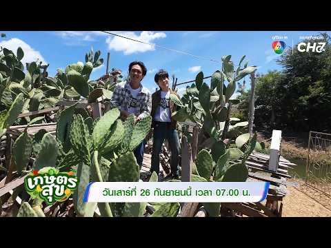 🌵 This week on "Agricultural Happiness," Tontrae and Jukbie take you to "Edible Cactus by Baan Su...