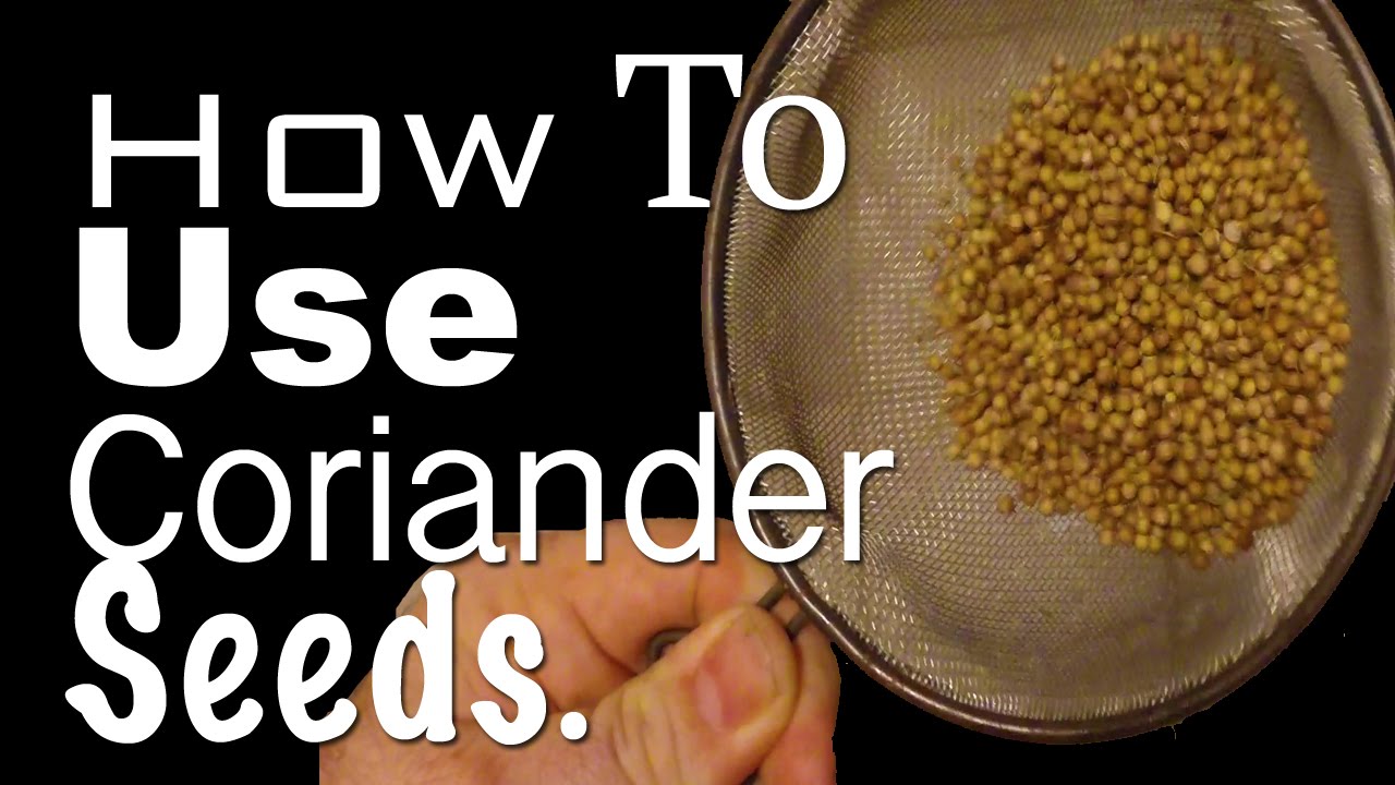 How To Use Coriander Seeds In The Kitchen Youtube,How To Make A Balloon Sword With One Balloon