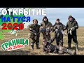 Охота на гуся 2020. ОТКРЫТИЕ СЕЗОНА. Goose hunting