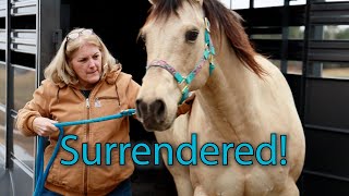 Horse Shelter Heroes | S2E1 | Full Episode
