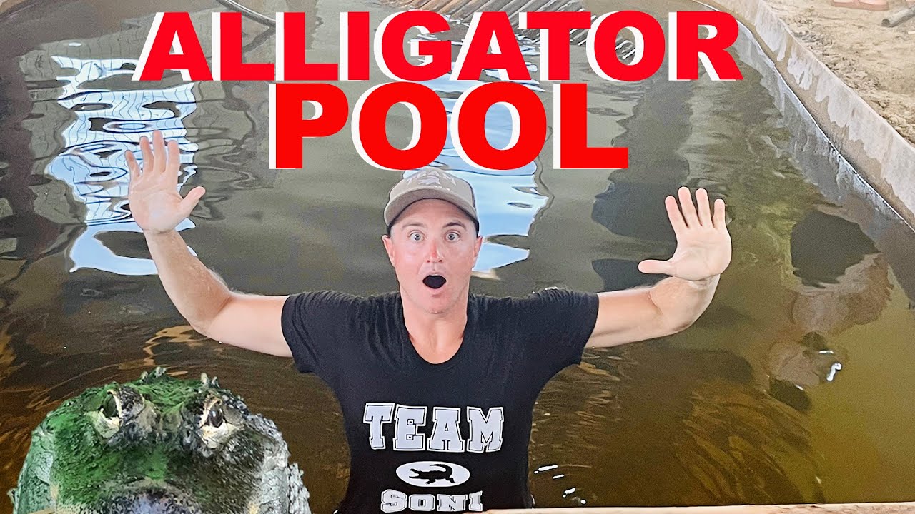 Jumping Into The Alligator Pool!!! - YouTube
