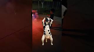 ya se armo la pachanga  😅😅😅