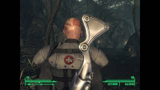 26.04.2024. Fallout 3. Обряд Матери Семян. Священное Болото. Панга