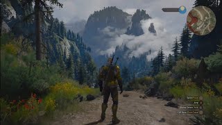 The Witcher 3 Xbox Series X Optimised Gameplay