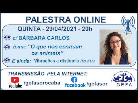 Assista: Palestra online - c/ B�?RBARA CARLOS (29/04/2021)