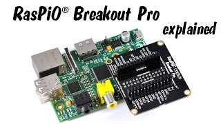 RasPiO Breakout Pro port protection explained