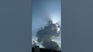 أجمل تلاوة للشيخ ياسر الدوسري ارح سمعك وقلبك قليلاً 🫵🤌🦻🫀❤️‍🩹 #سورة_الروم