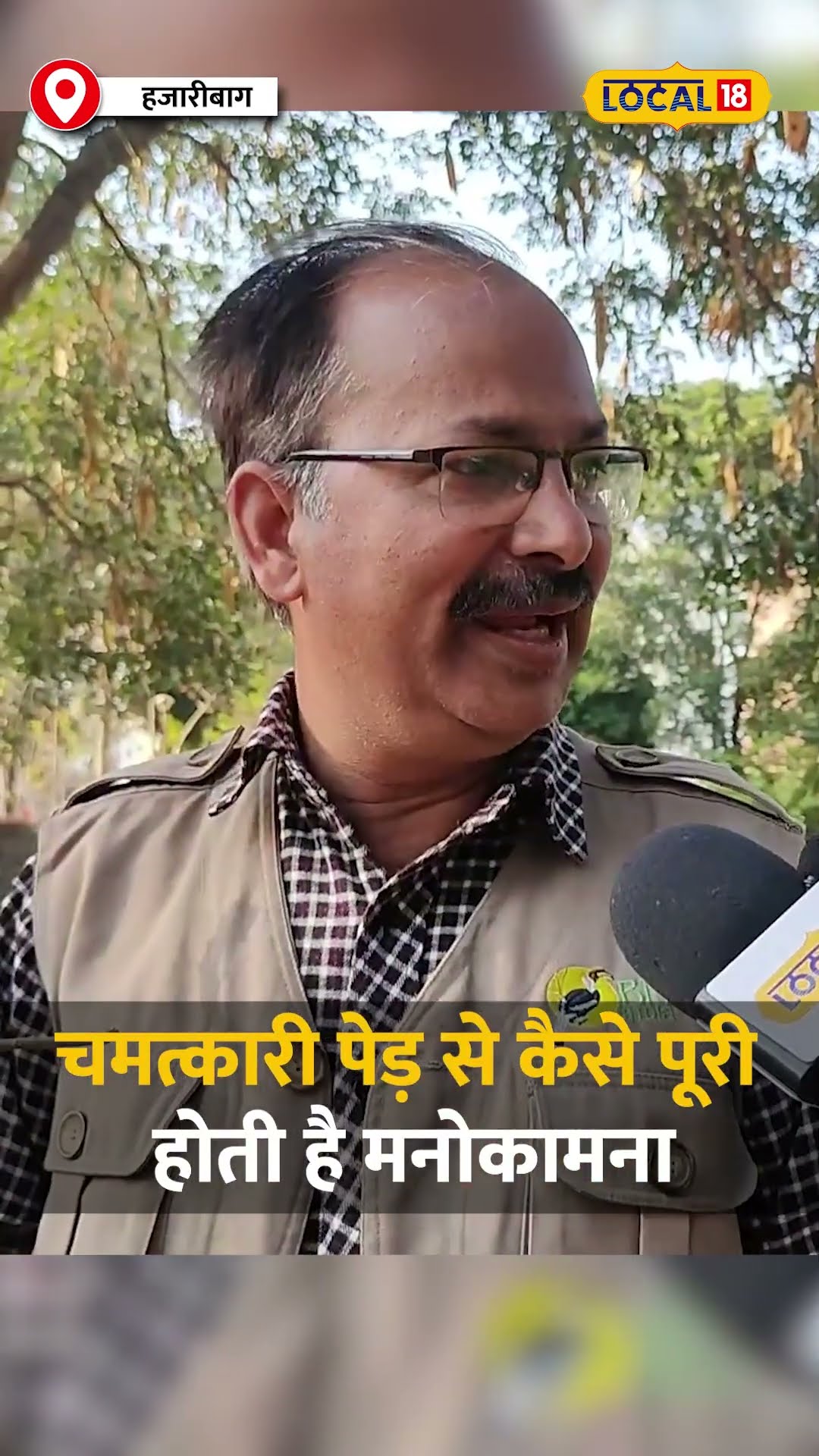 समुद्र मंथन से निकला कल्पवृक्ष, चमत्कारी पेड़ से कैसे पूरी होती है मनोकामना #local18shorts