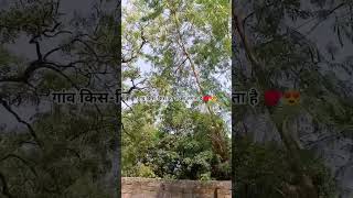 #गांव की♥️ lifestyle😍#short#viral video#village lifestyle