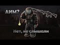 Что такое аим? АИМА.НЕТ | STALCRAFTX