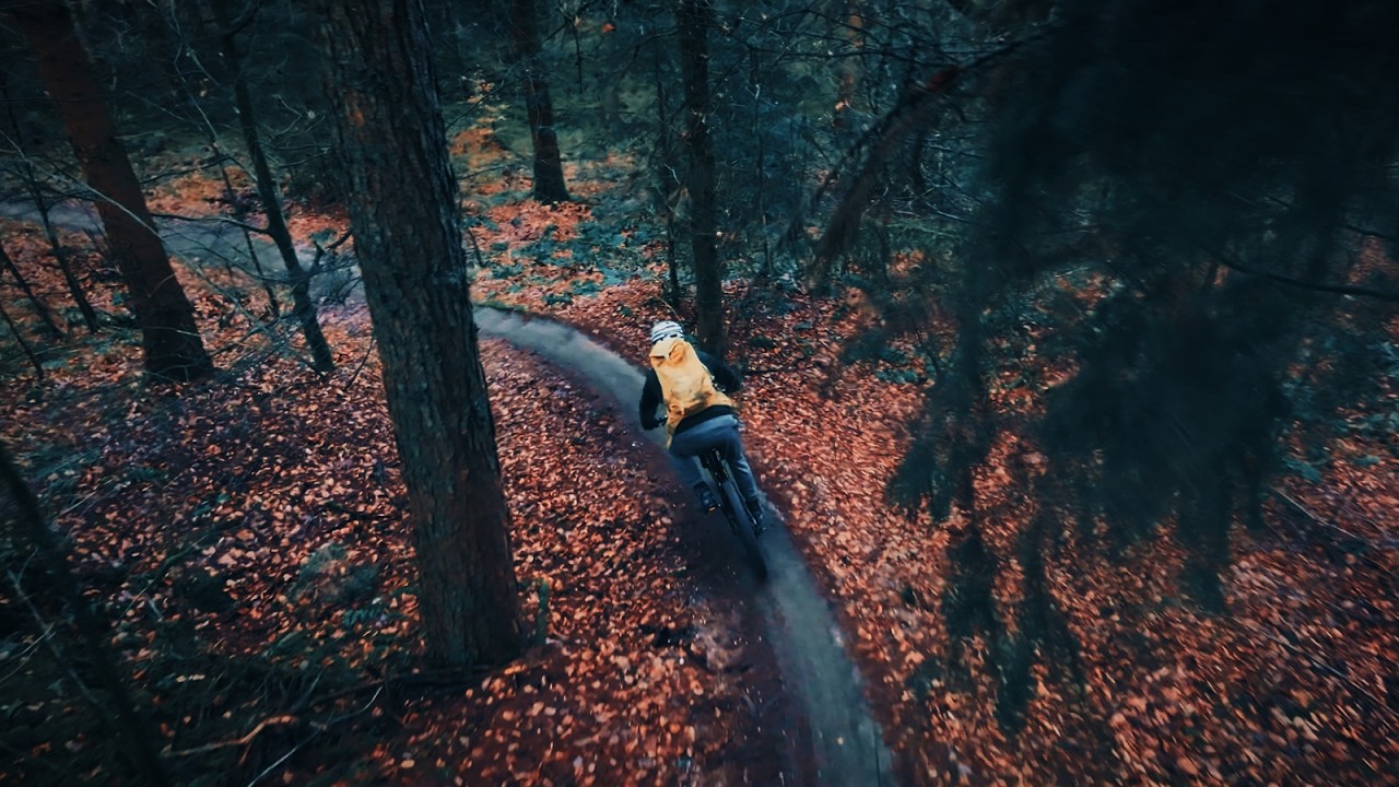 Forest Flow — A Cinematic MTB Moment