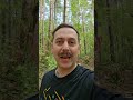 Electric Forest Release Announcement