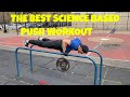 The Best Science Based Push Workout For Growth  | Thats Good Money