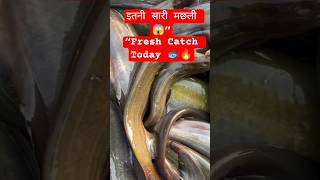 🔥Aaj Ki Taza Machhli 🐟 Live Catch &amp; Sale  Itni Sari Fish Ek Sath 😱 Village Fishing Vlog#shorts#short