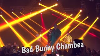 Bad Bunny - Chambea (Siempre Picheo) 2018