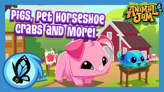 Pigs, Horseshoe Crabs, & MORE! | Animal Jam