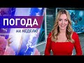 Погода на неделю с 15 по 21 июня 2020. Прогноз погоды. Беларусь | Метеогид