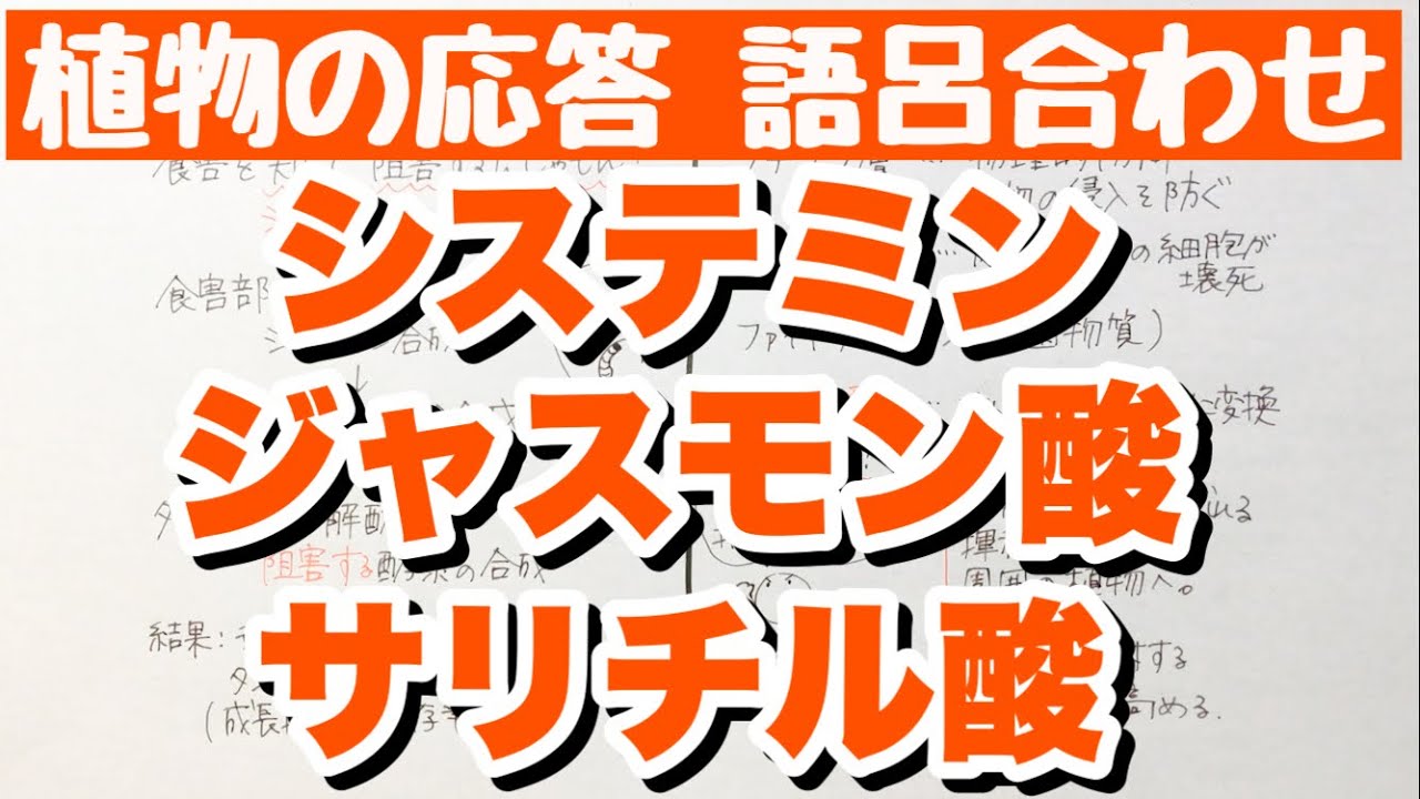 サリチル酸ジプロピオン酸ベタメタゾンメドレーのリーフレット