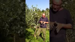 Orchard Site Selection Part 1