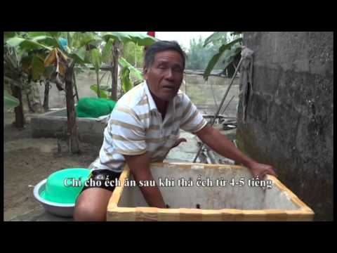 Video Đại Học Nông Lâm Huế - Kỹ thuật nuôi ếch trong lồng... - youtube