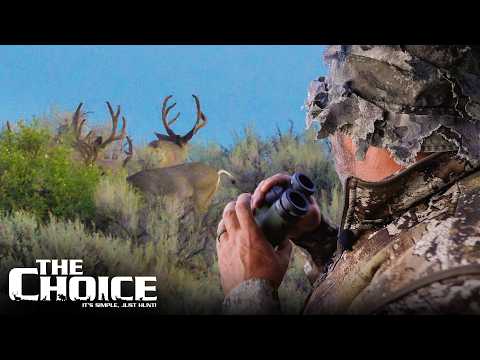 Bowhunting Utah Mule Deer in Velvet! | The Choice