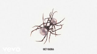 Doja Cat ~ Wet Vagina Instrumental Resimi