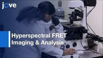Measurement: 3-Dimensional cAMP Distributions-Living Cells: 4-D (x, y, z, and λ) l Protocol Preview
