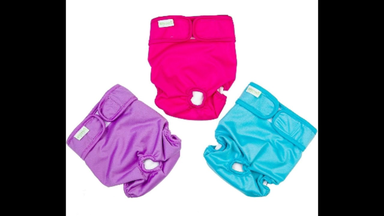 5 Best dog diapers female Best dog diapers female online Best dog