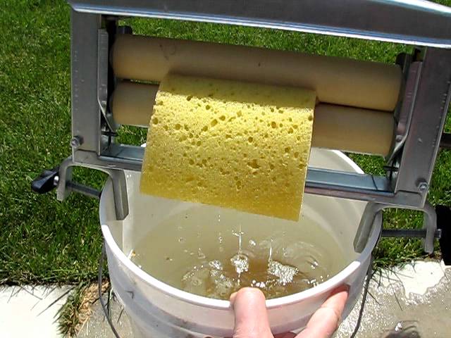 Best hand clothes wringer demonstrating wringing out sponges while attached  to 5 gal bucket - YouTube