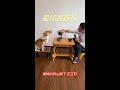 One person, one dog, two funny guys singing ethnic style