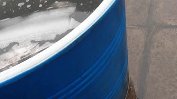 Hải sản Phú Quốc Cảng Cá An Thới