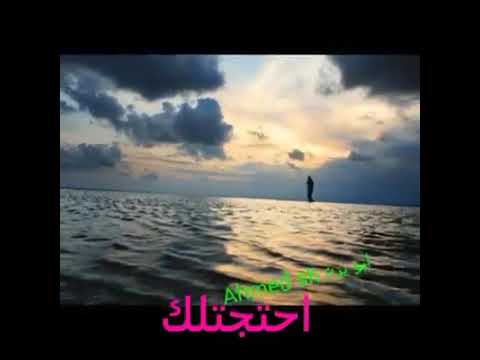 وائل جسار احتجتلك