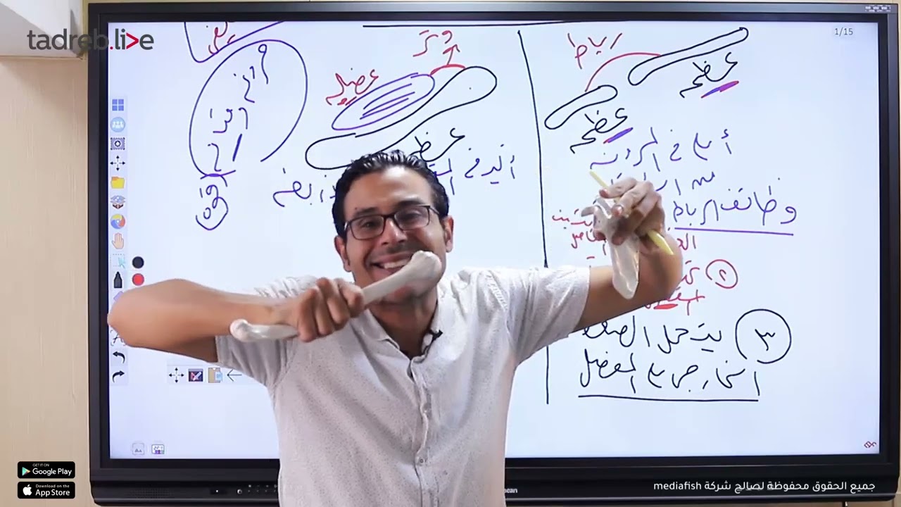 الأربطة والأوتار- أحياء ثانوية عامة 2024