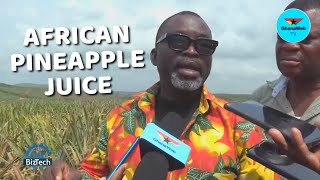 كيف يُصنع: عصير الأناناس الشهير في أفريقيا | BizTech screenshot 5