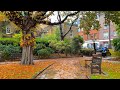 Relaxing Rain Walk Through Chelsea London S Poshest Neighbourhood mp3
