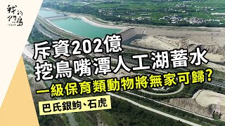 鳥嘴潭與瀕危動物｜在烏溪填築土方的代價(我們的島 第1206集 2023-05-29)