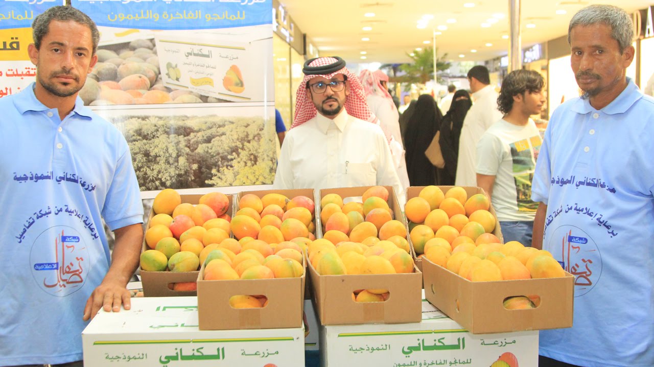بالصور مهرجان المانجو السادس بالقنفذة شبكة و منتديات تفاصيل الإعلامية