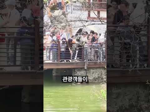 옷을 벗어 도운 관광객들 thumbnail
