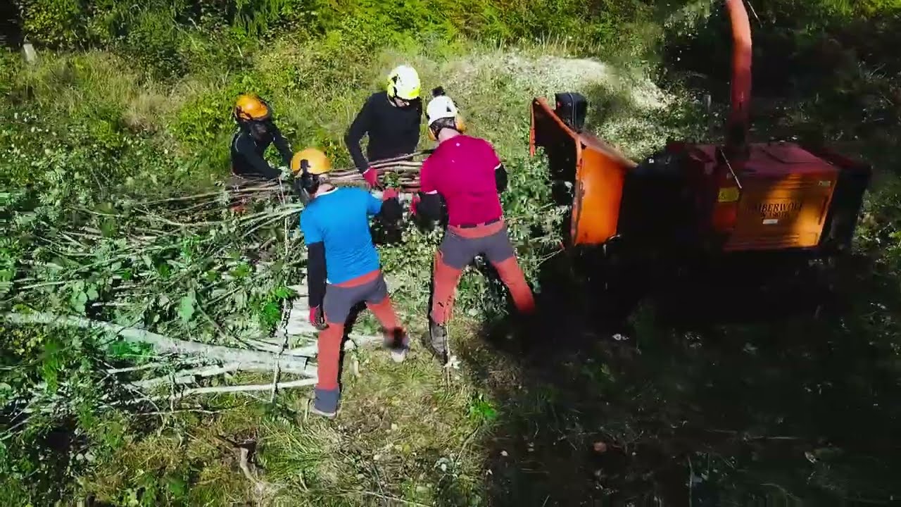 расчистка участка от мелколесья, поросли и ненужных деревьев - YouTube