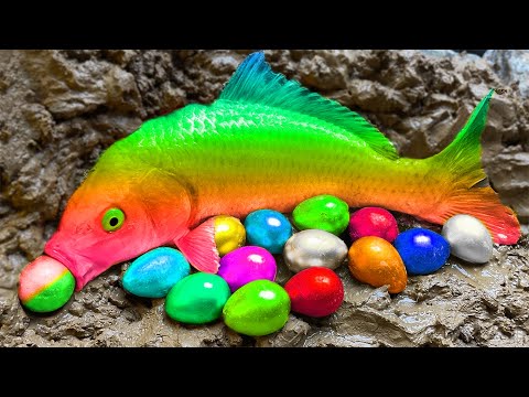 الليلة الأولى ليالي الامتحان الأخيرة ثالثة ثانوي ٢٠٢٥ مع أ محمد صلاح 