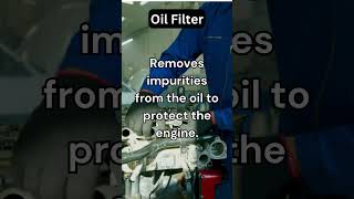 OIL FILTER USE AND FUNCTIONS #youtubeshorts #shortvideo #viral #shortsfeed #606