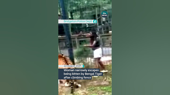 Woman narrowly escapes being bitten by Bengal Tiger after climbing fence #itvnews #news